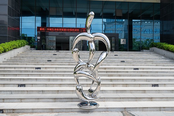 Custom Stainless Steel Streamlined Fish Cluster Sculpture - Modern Marine Art for Public Spaces